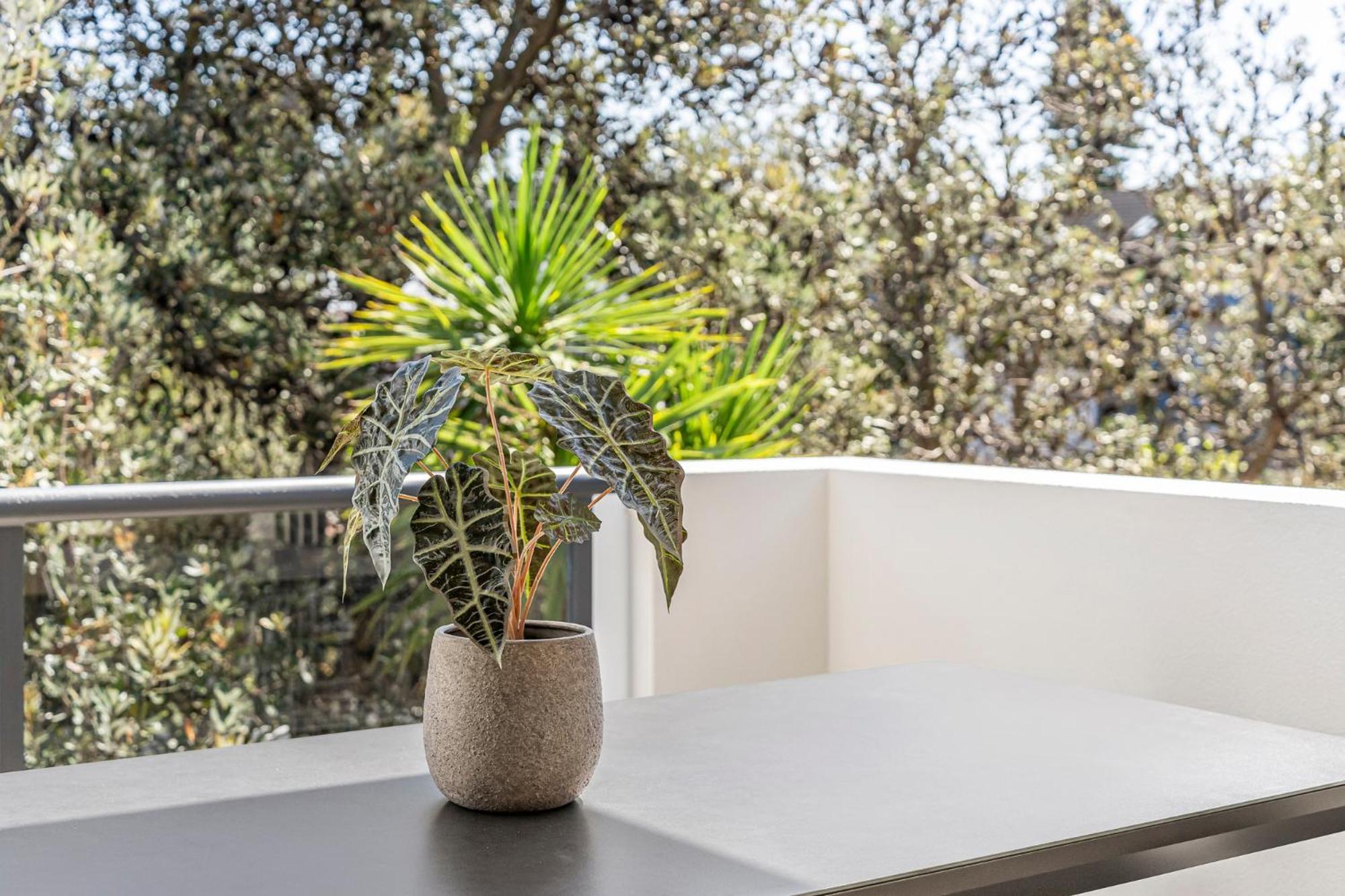 Apartment Urban Rest Bondi